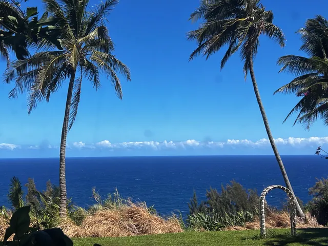a view of an ocean and a nearby beach