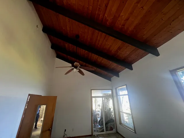 a view of a small yard