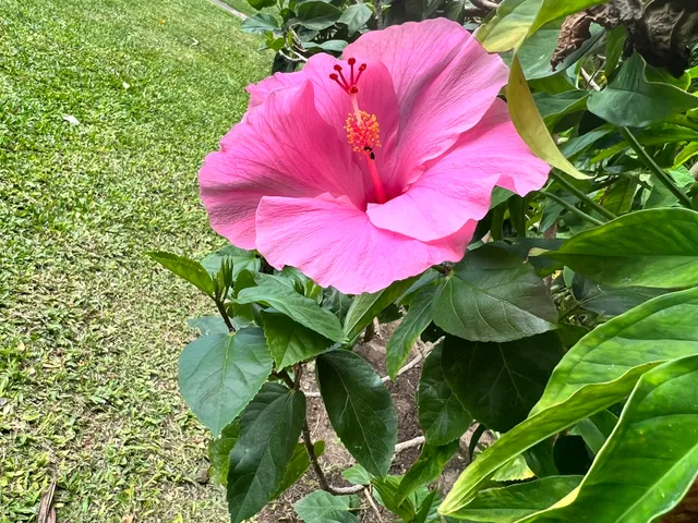 a view of a livingroom with furniture