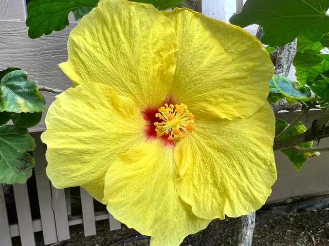 a front view of a building