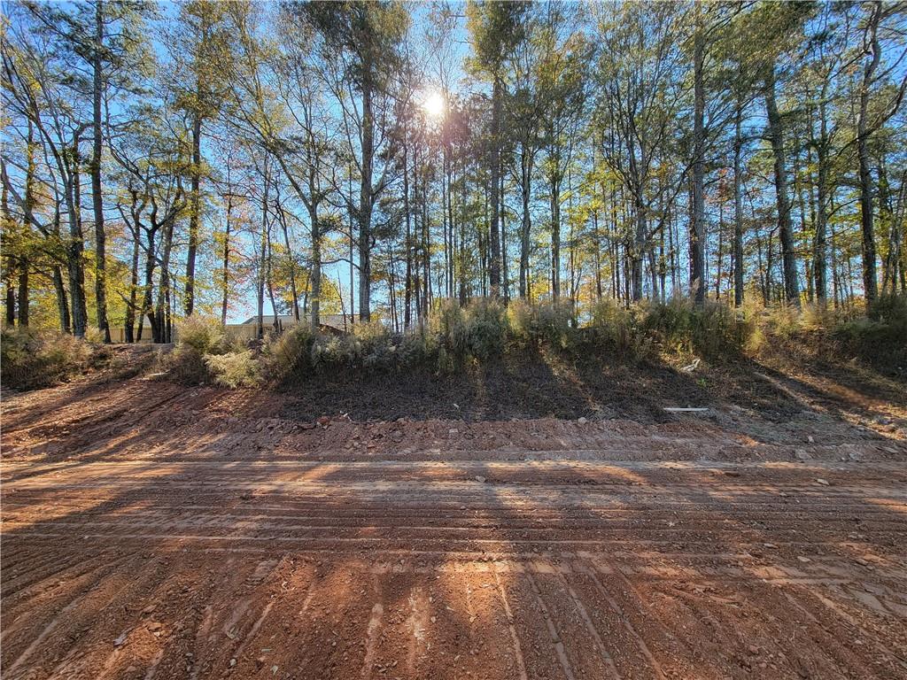 294 Silverleaf Trail Bethlehem, GA 30620 - Photo 19 of 28