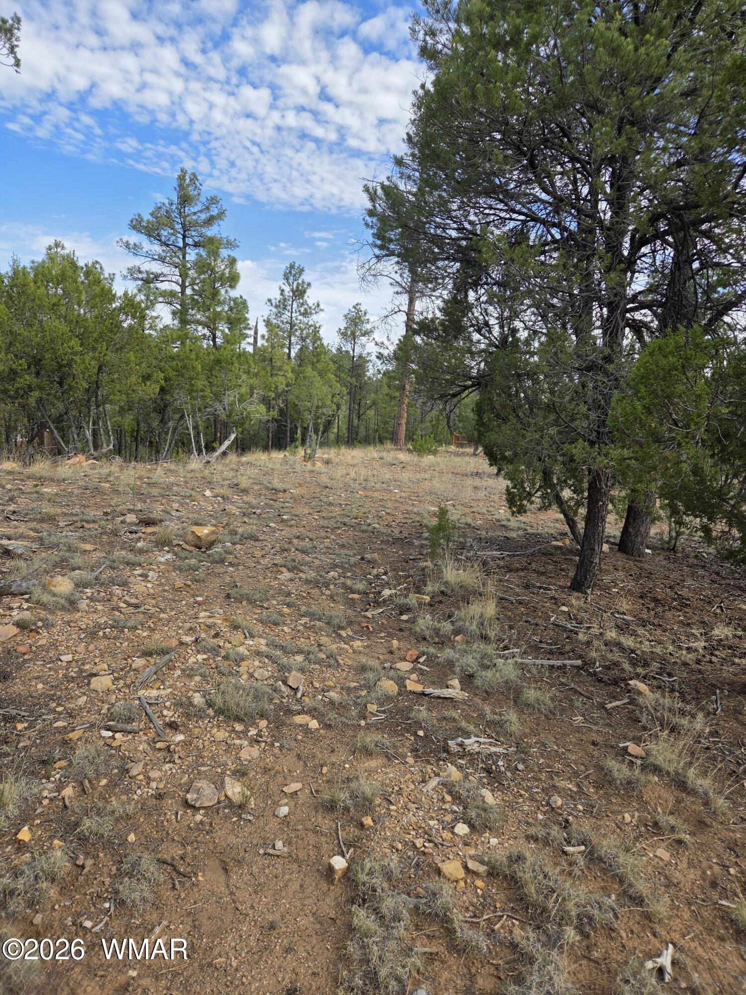 3332 Sawmill Ridge Loop Heber, AZ 85928 - Photo 8 of 12