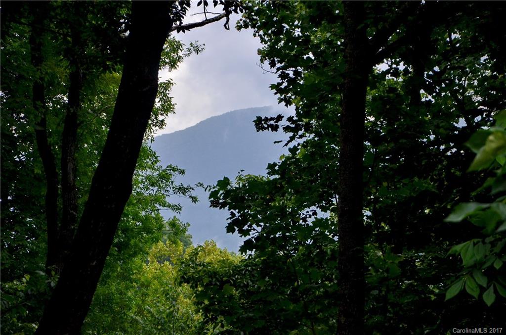 394 Rambling Ridge Road, Unit 71 Waynesville, NC 28786 - Photo 10 of 24 Gallery Image 10