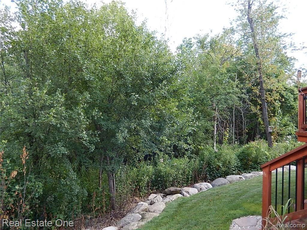 3447 Columbia Drive Rochester, MI 48307 - Photo 37 of 44 Backyard View 1