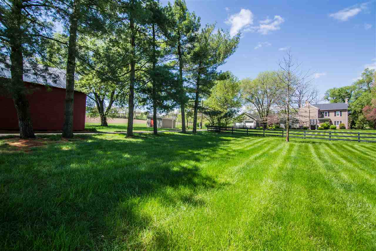 6389 Spring Creek Road Bridgewater, VA 22812 - Photo 5 of 41 a view of a park with large trees