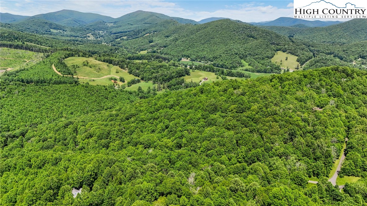 T-1 Grace Mountain Road Todd, NC 28684 - Photo 14 of 28 a view of a lush green field with a sink