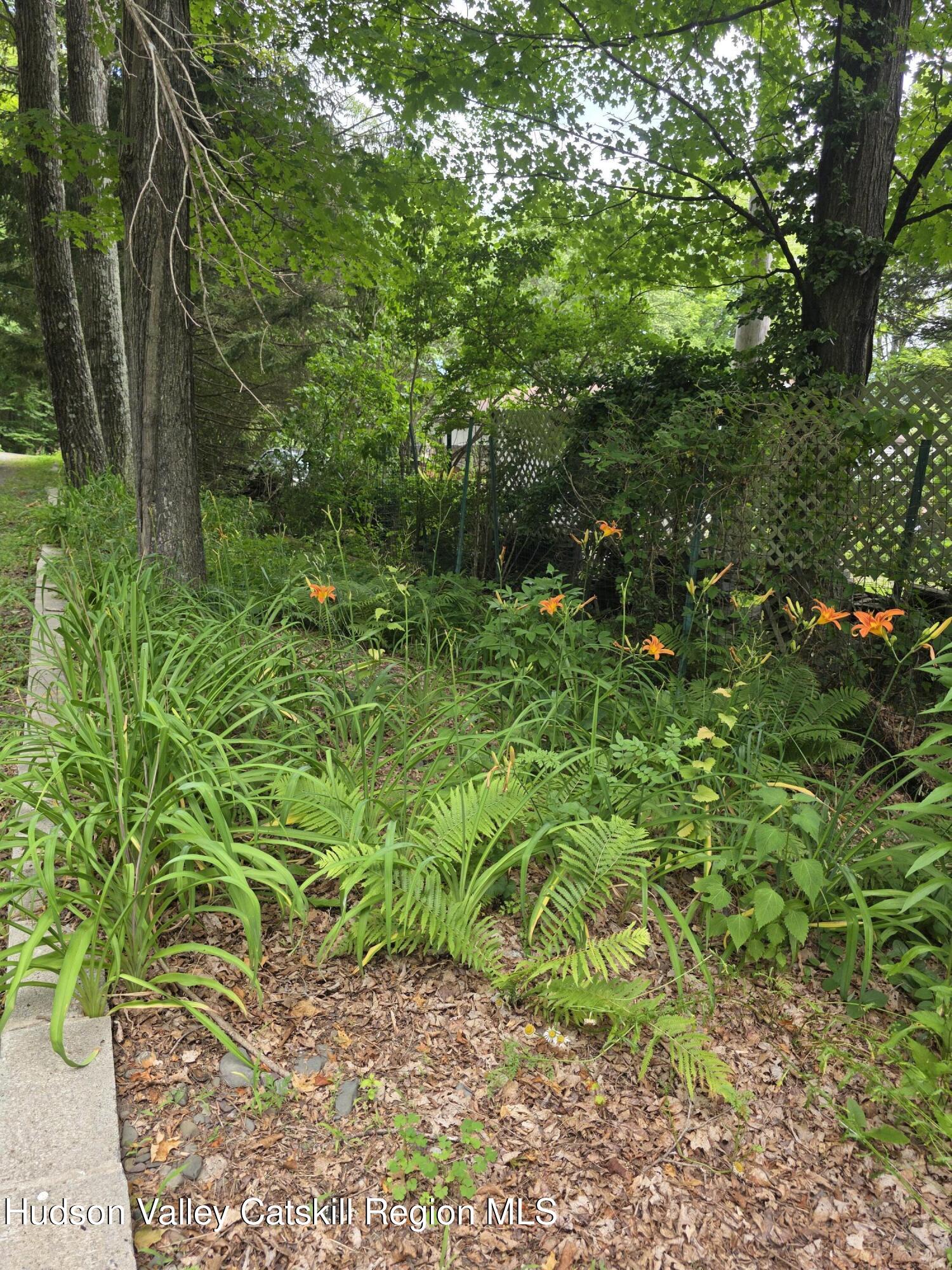 597 Ross Ruland Road Cairo, NY 12482 - Photo 11 of 12 a view of a garden