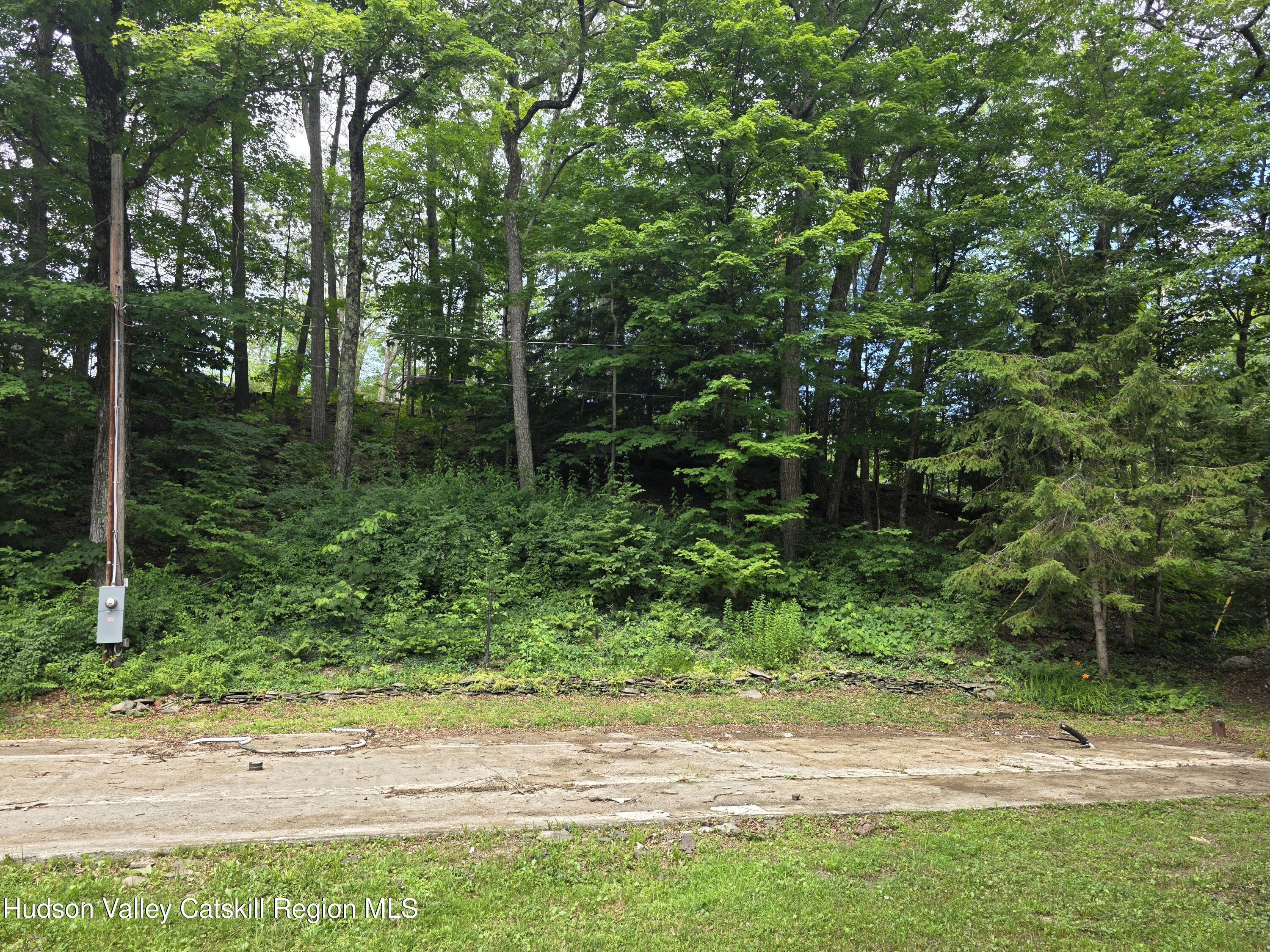 597 Ross Ruland Road Cairo, NY 12482 - Photo 12 of 12 a view of backyard with green space