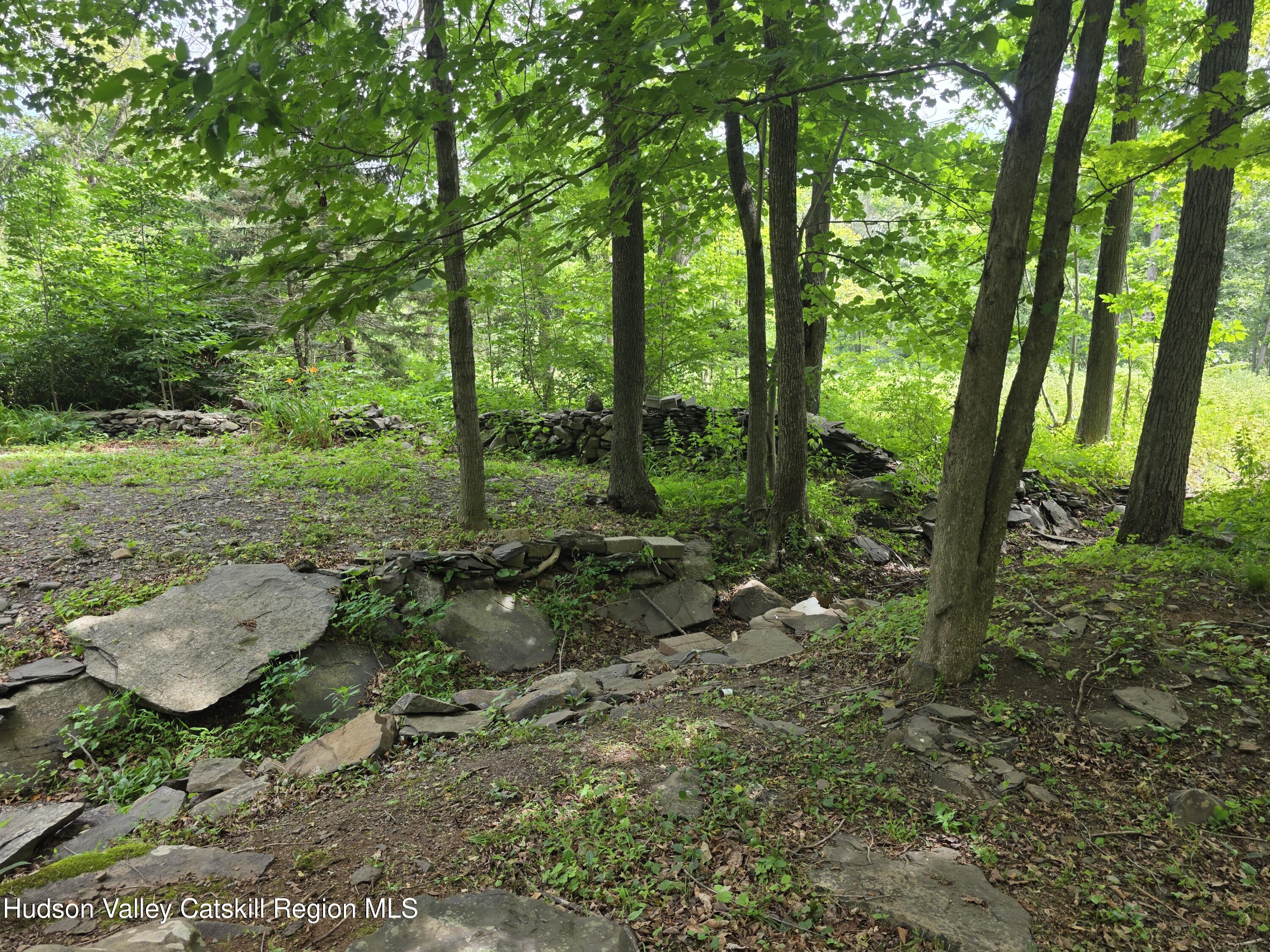 597 Ross Ruland Road Cairo, NY 12482 - Photo 3 of 12 a view of outdoor space and trees