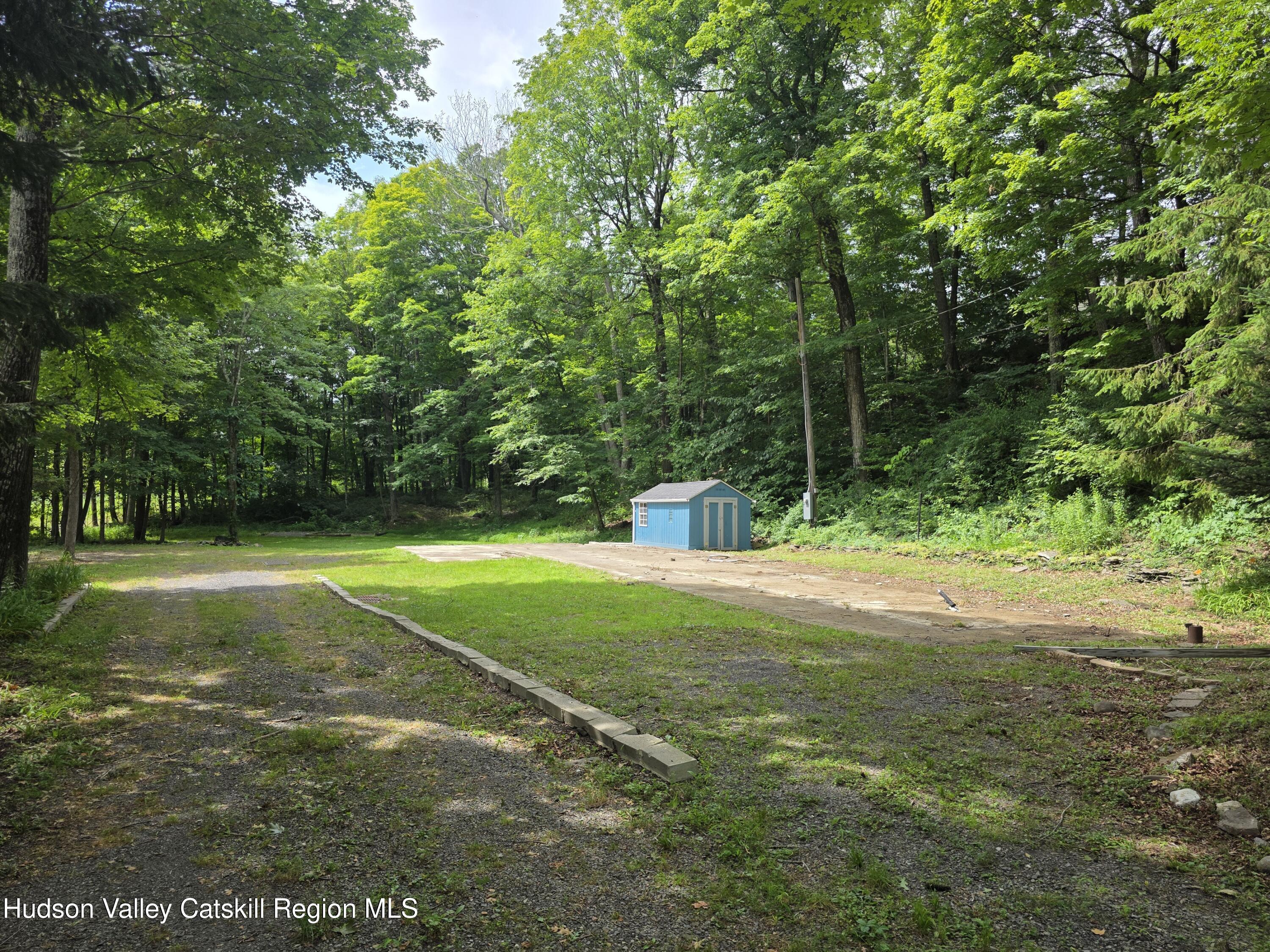 597 Ross Ruland Road Cairo, NY 12482 - Photo 4 of 12 a view of a tree in a yard