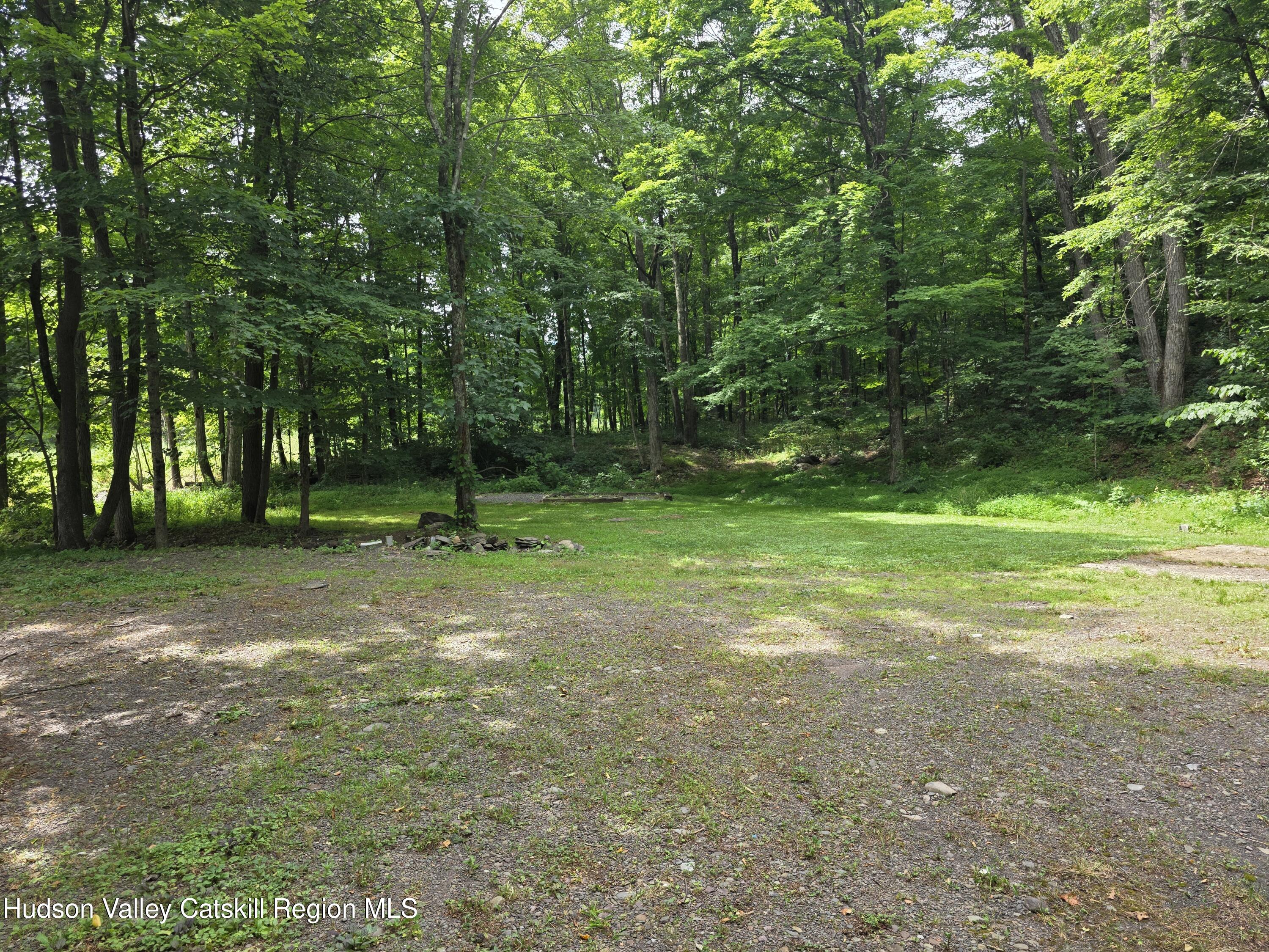 597 Ross Ruland Road Cairo, NY 12482 - Photo 5 of 12 a view of a tree in a yard