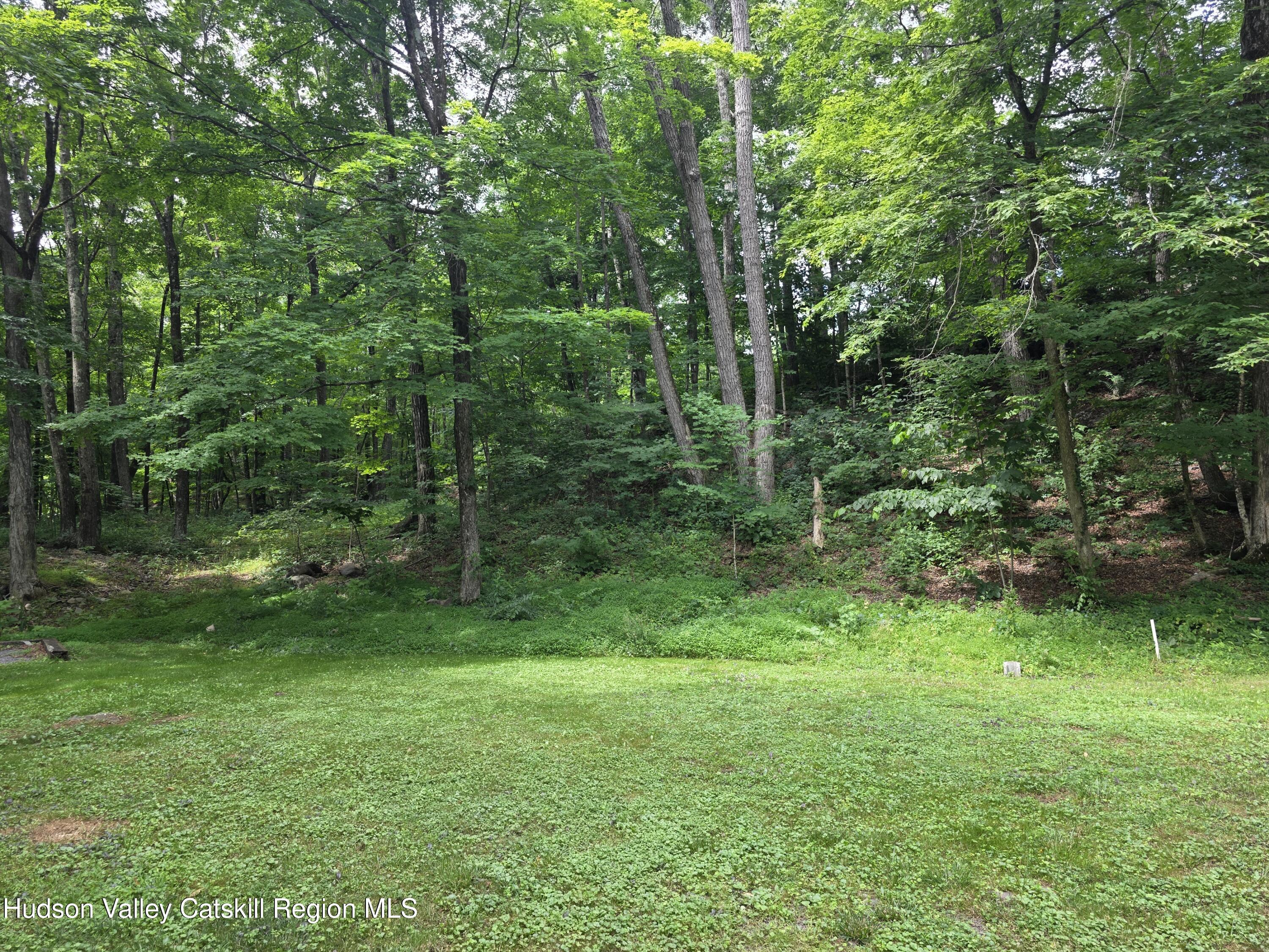 597 Ross Ruland Road Cairo, NY 12482 - Photo 6 of 12 a view of a lush green forest