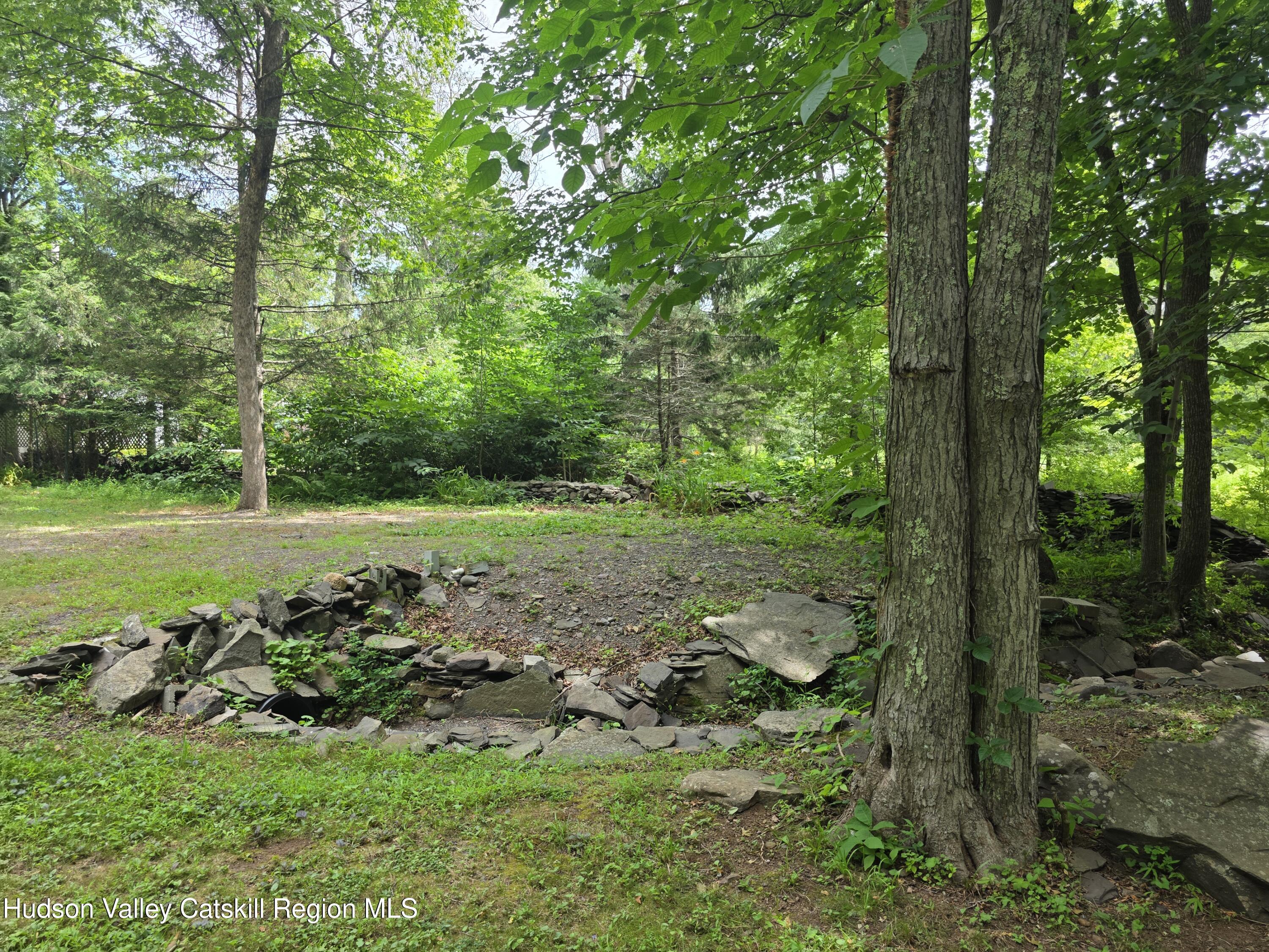 597 Ross Ruland Road Cairo, NY 12482 - Photo 7 of 12 a view of a field with grass and a tree