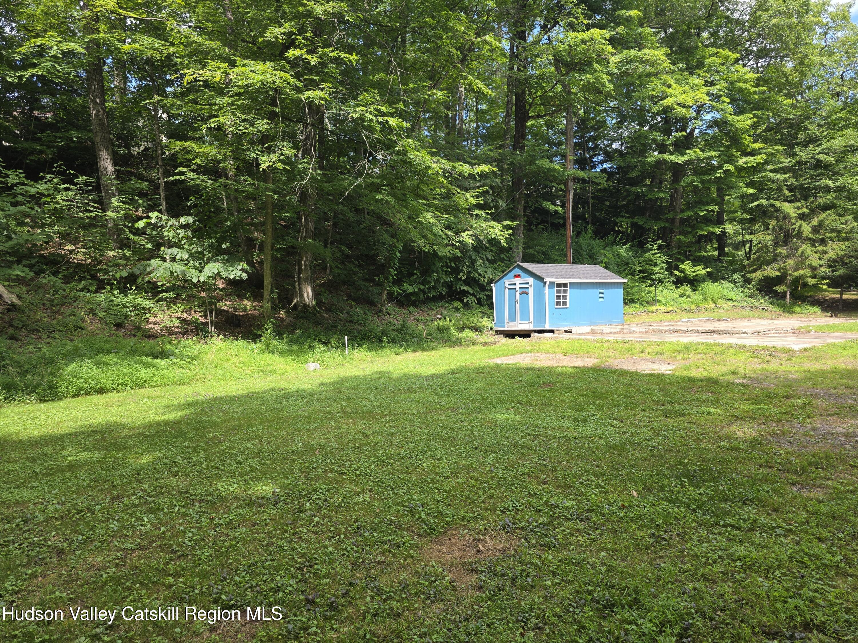 597 Ross Ruland Road Cairo, NY 12482 - Photo 8 of 12 a view of a house with a big yard and large trees