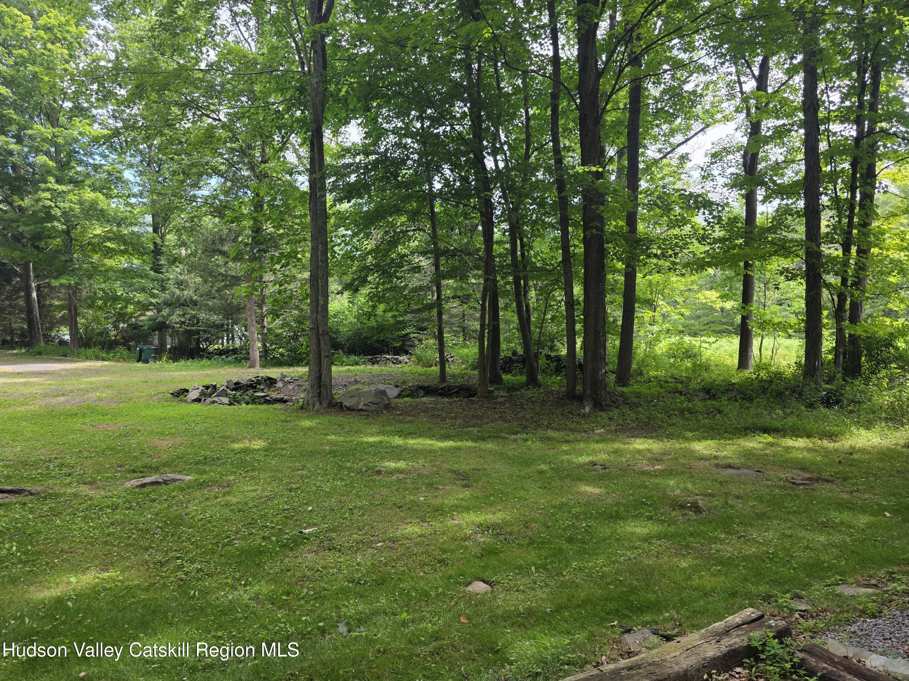 597 Ross Ruland Road Cairo, NY 12482 - Photo 9 of 12 a view of a park with trees in the background