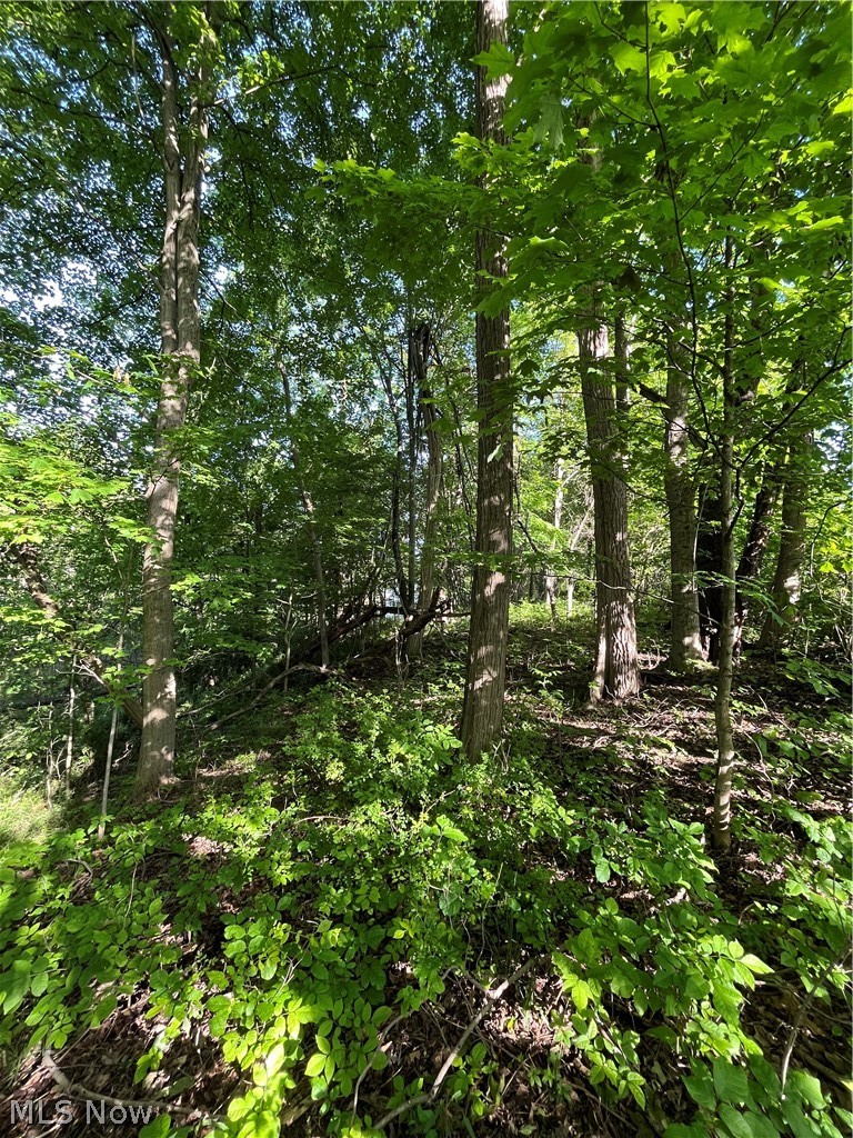 Vl South Ridge Road Geneva, OH 44041 - Photo 21 of 34