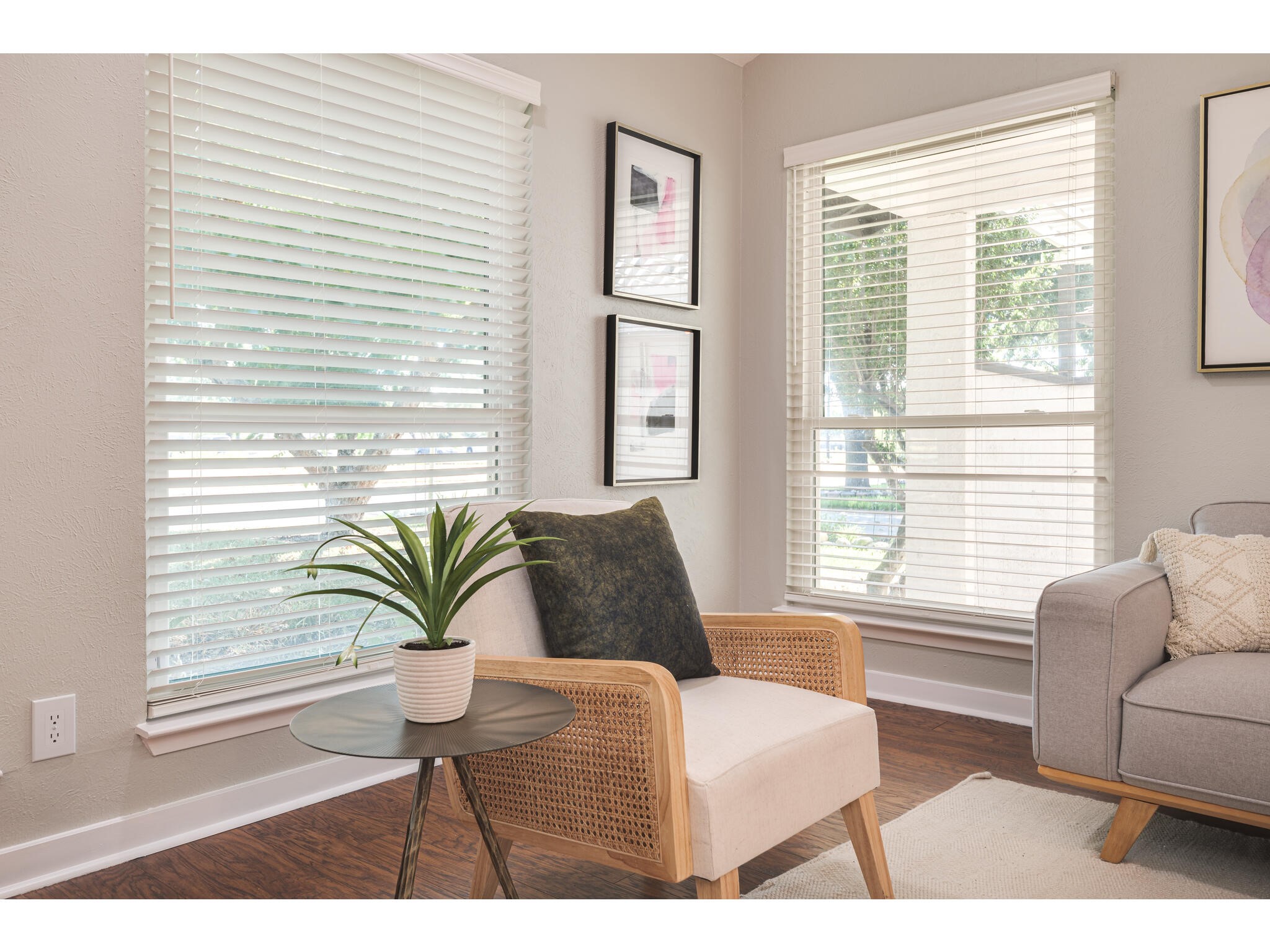 3203 Foster Lane Austin, TX 78757 - Photo 6 of 37 a living room with furniture and a potted plant