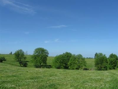 2205 North Middletown Road Paris, KY 40361 - Photo 4 of 7 Photo 4