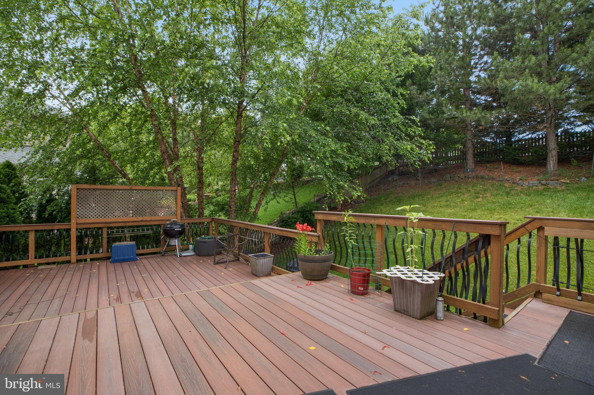 42706 Middle Ridge Place Broadlands, VA 20148 - Photo 29 of 34