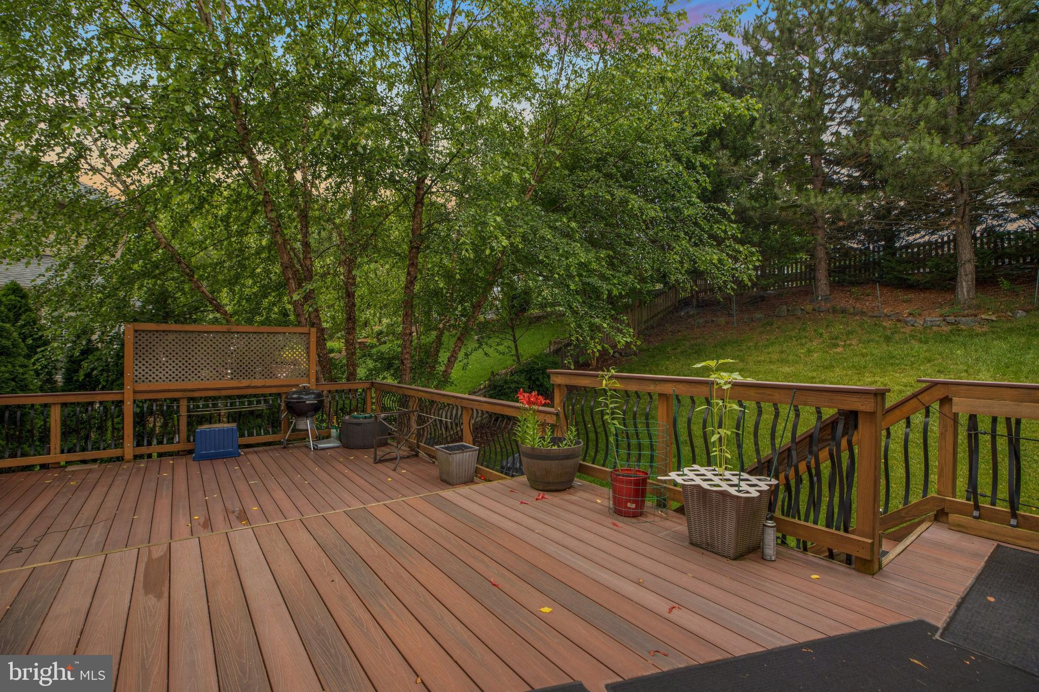 42706 Middle Ridge Place Broadlands, VA 20148 - Photo 33 of 34