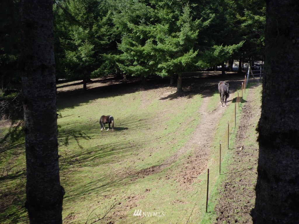 150 Porter Road Kalama, WA 98625 - Photo 21 of 25 Gallery Image 21