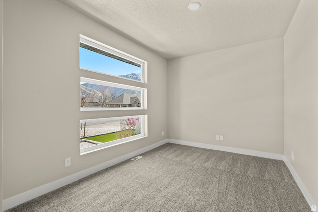 1096 Valley Sage Drive Springville, UT 84663 - Photo 44 of 86