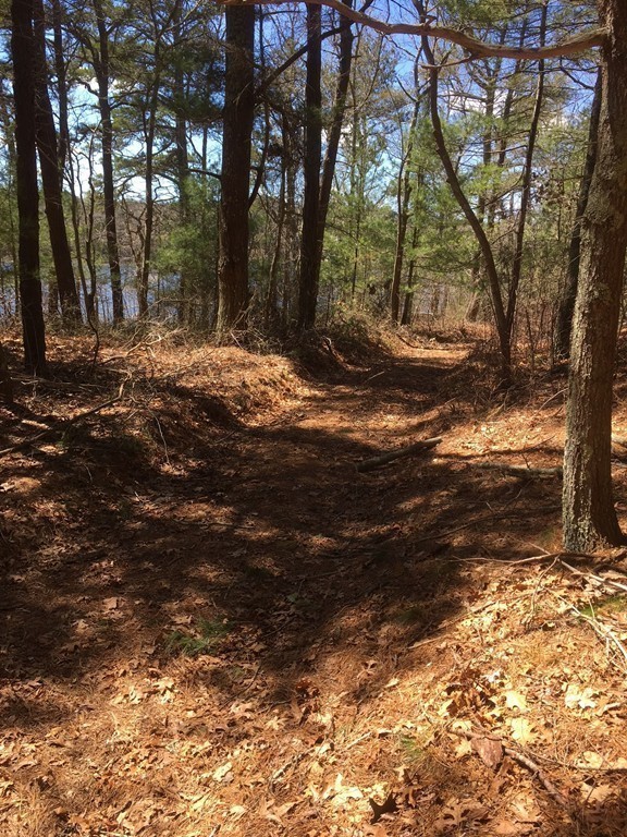 148 Roxy Cahoon Road Plymouth, MA 02360 - Photo 8 of 11 Gallery Image 8