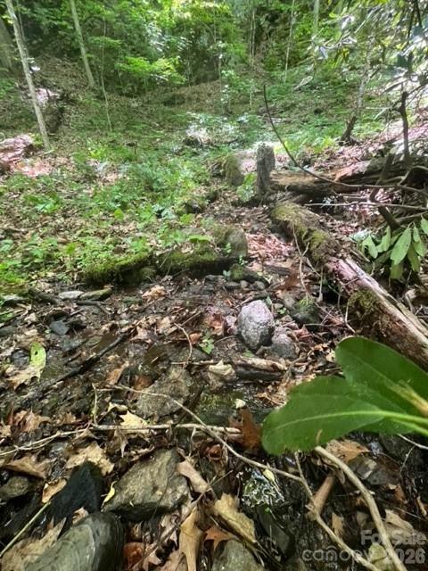0 Soco Road Maggie Valley, NC 28751 - Photo 12 of 26