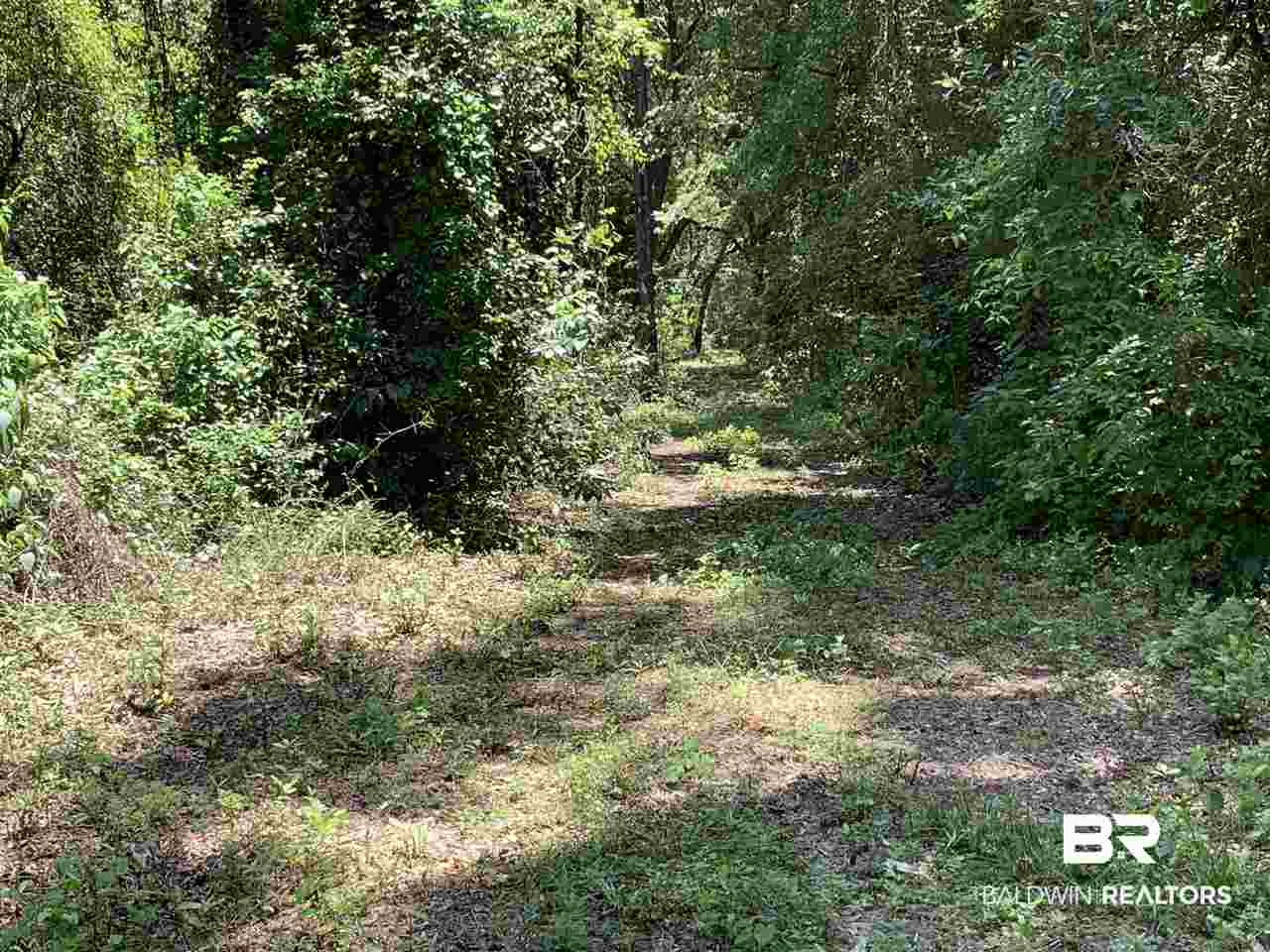 0 Frank Road Silverhill, AL 36576 - Photo 2 of 17
