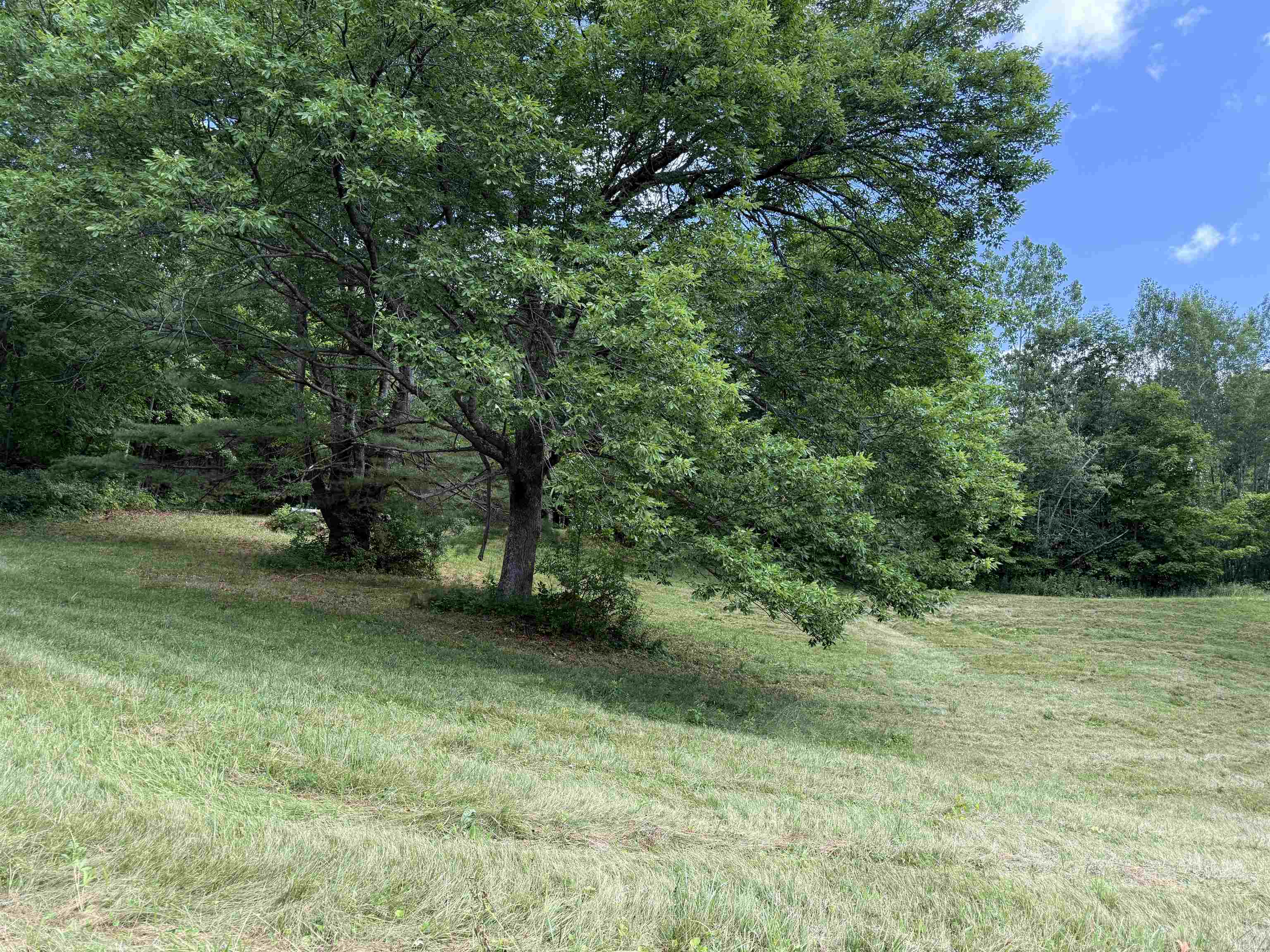 1782 Randall Road Woodstock, VT 05091 - Photo 10 of 37