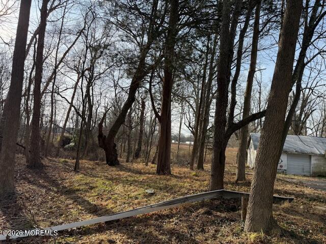 465 Lakewood Farmingdale Road Howell, NJ 07731 - Photo 14 of 19 a view of a yard with trees