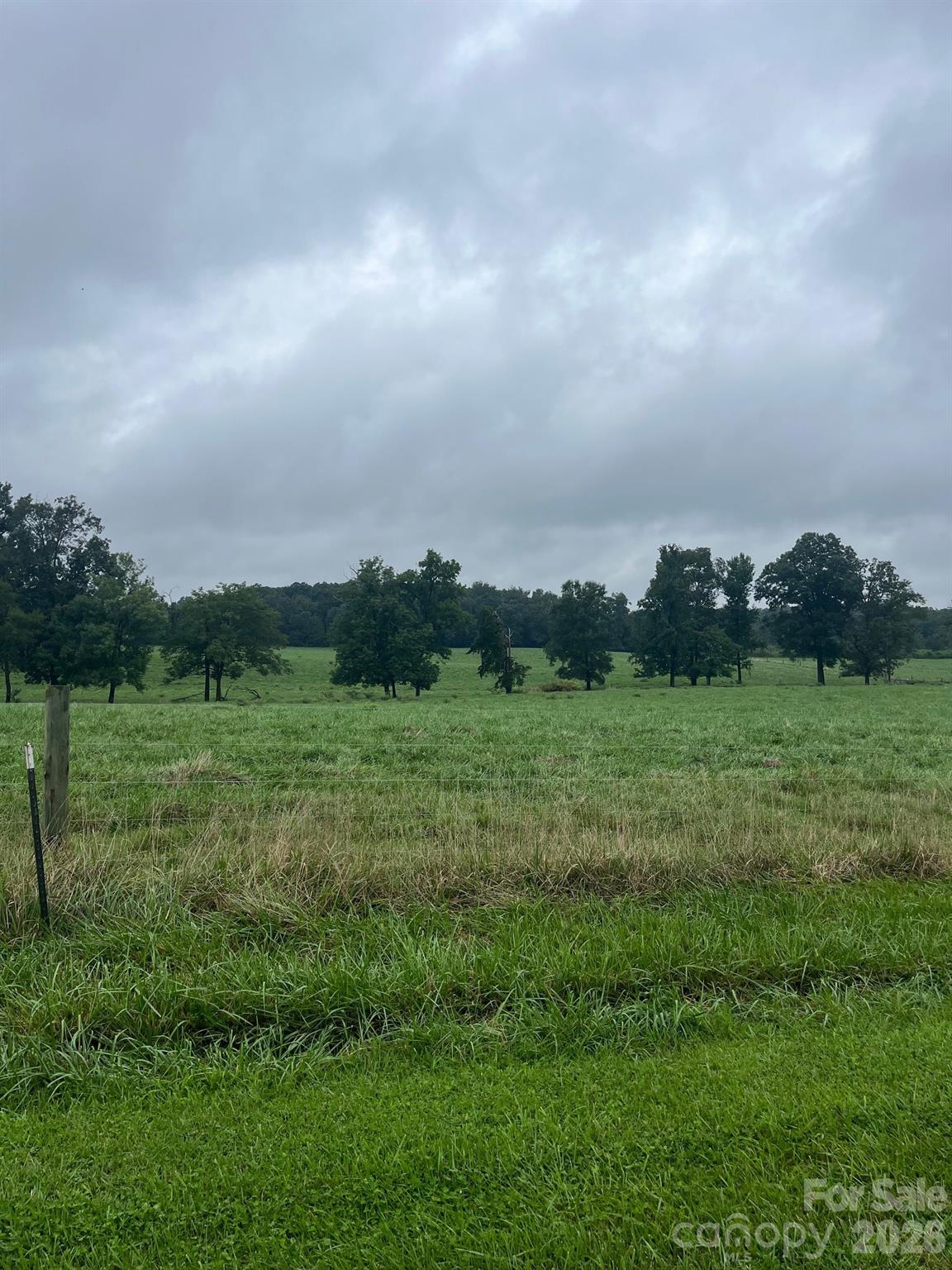 0 Thanny Helms Road Peachland, NC 28133 - Photo 9 of 12