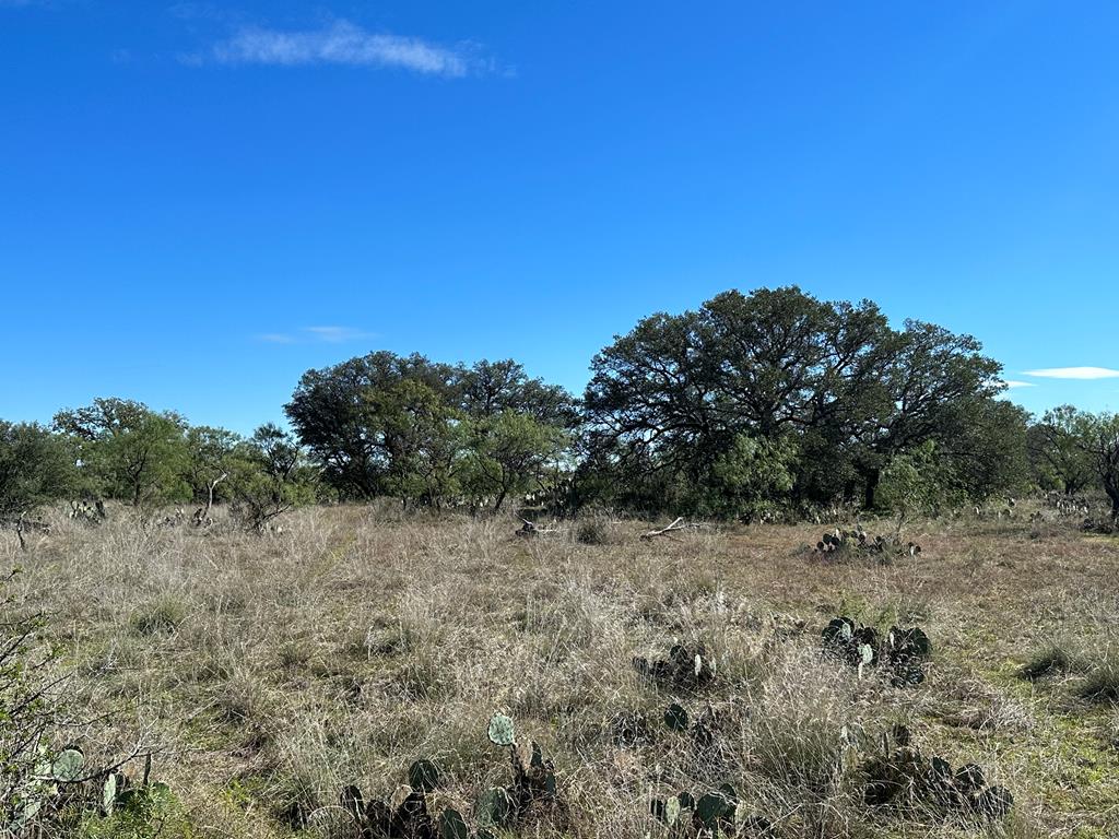 1597 Kothmann Road Art, TX 76820 - Photo 1 of 8 Main View