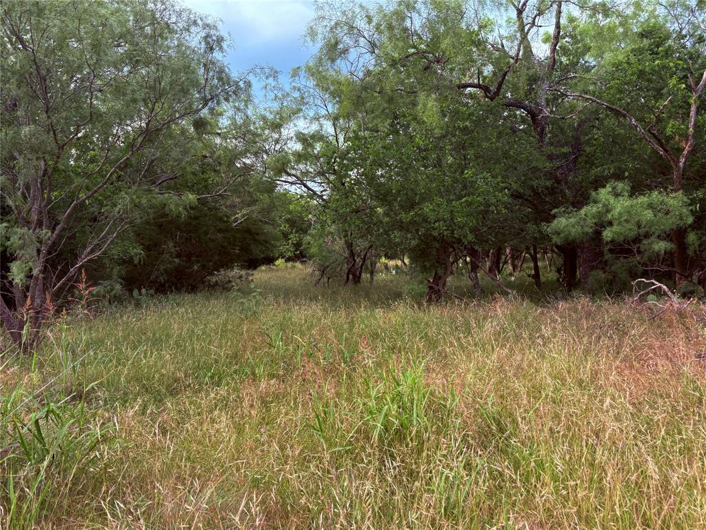 1117 North Tiffin Road Ranger, TX 76470 - Photo 19 of 40