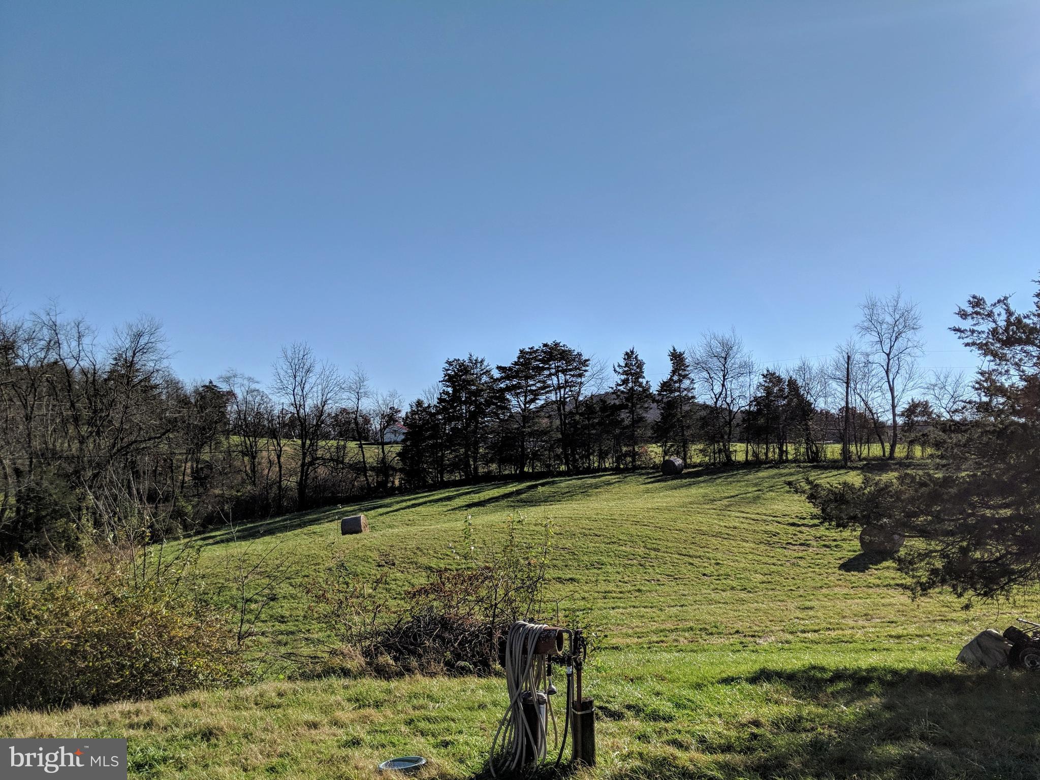1660 Pepper Road Mount Jackson, VA 22842 - Photo 5 of 7