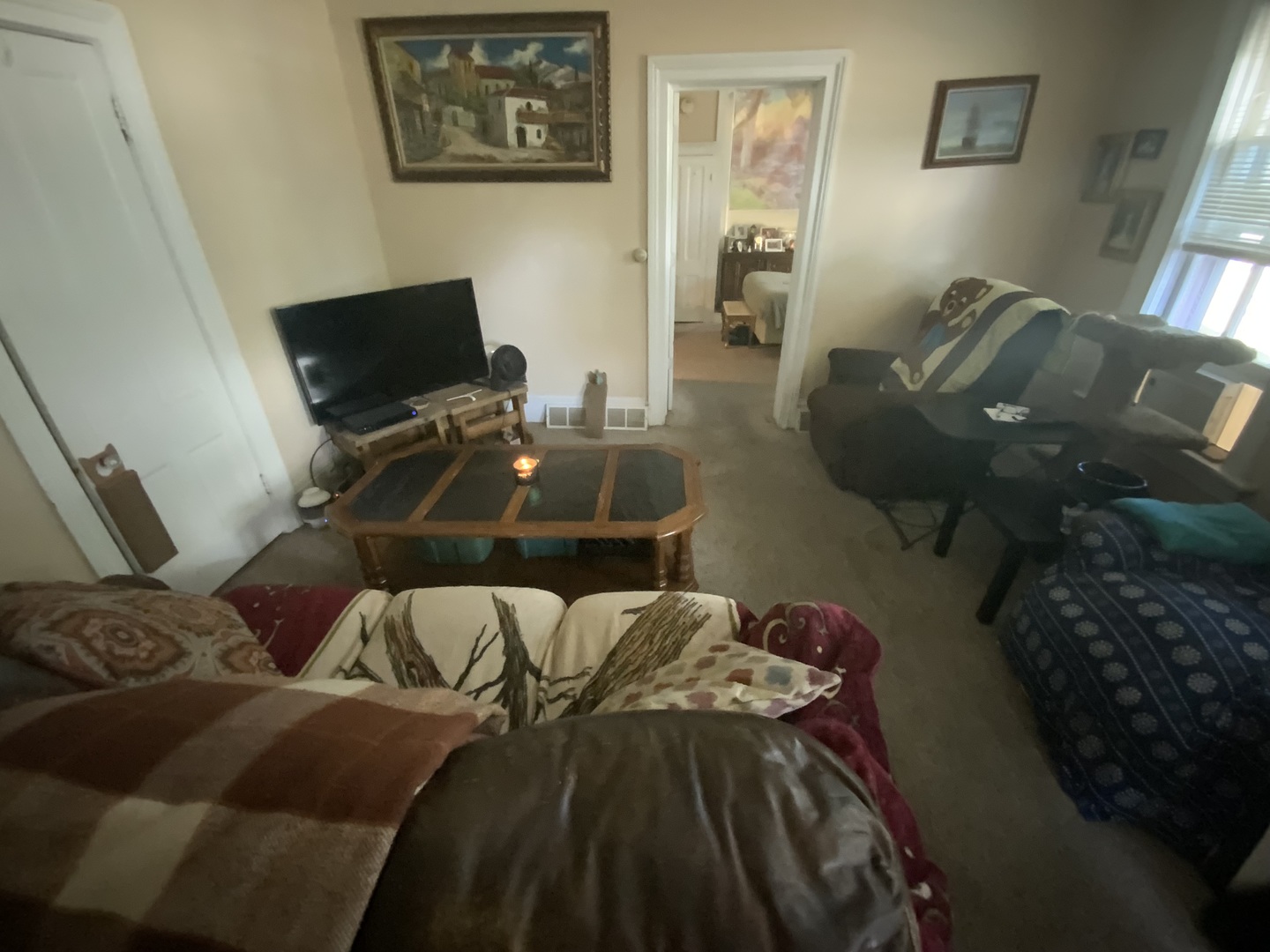 404 South Batavia Avenue Batavia, IL 60510 - Photo 28 of 37 a living room with furniture and a flat screen tv