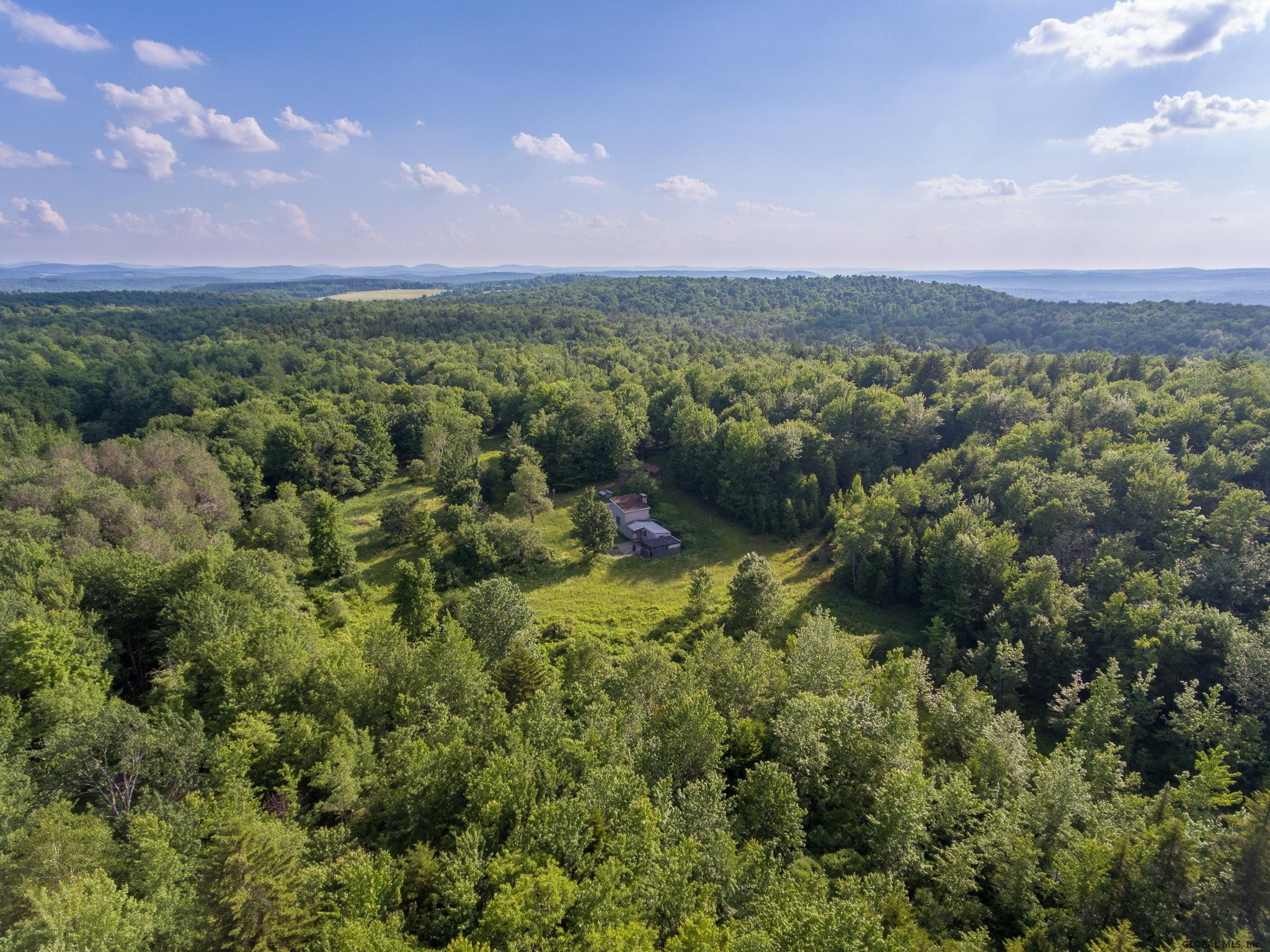 371 Arabia Road Summit, NY 12093 - Photo 5 of 29 Photo 5