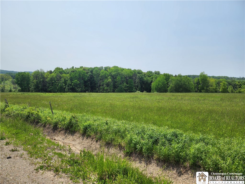 0 County Road 13 Ripley, NY 14775 - Photo 2 of 6