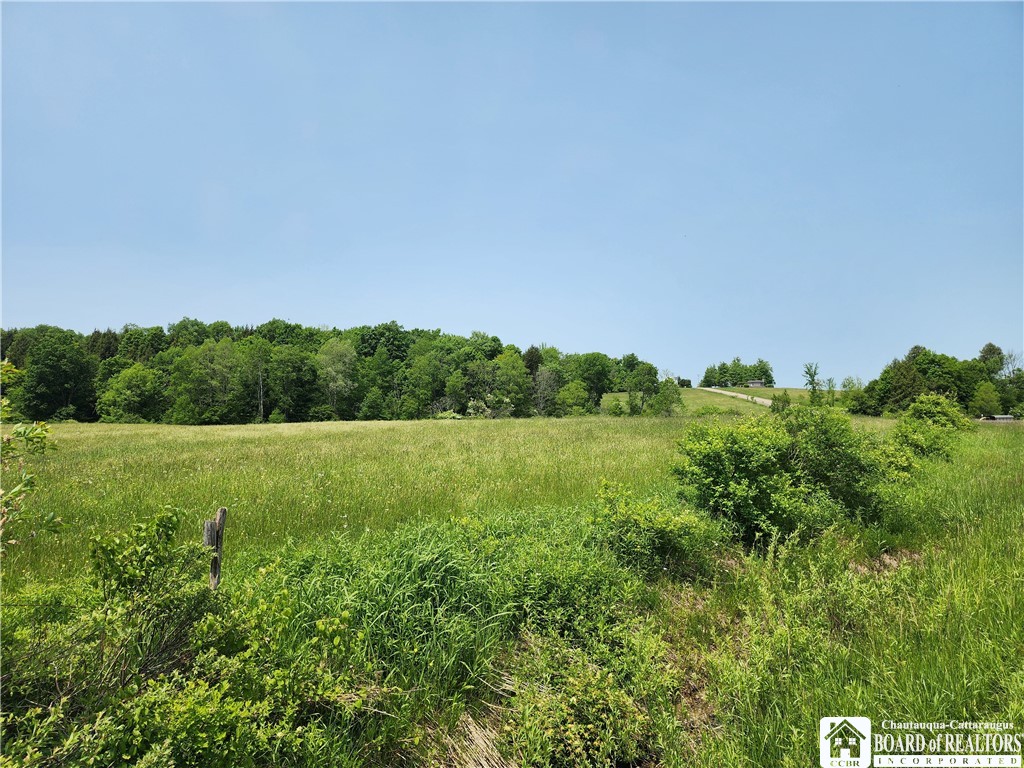 0 County Road 13 Ripley, NY 14775 - Photo 5 of 6