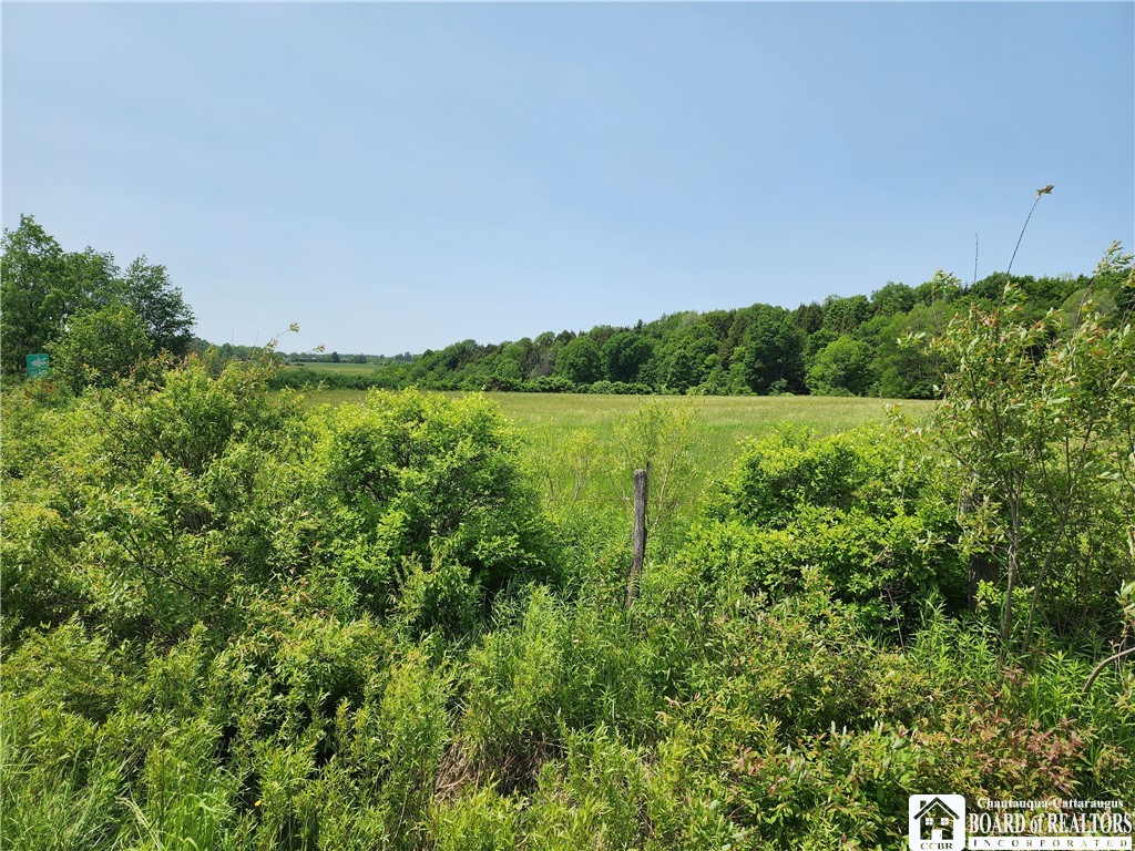 0 County Road 13 Ripley, NY 14775 - Photo 6 of 6