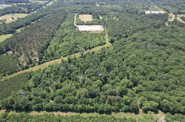 a view of a yard