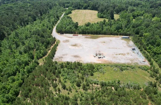 a view of a yard with plants