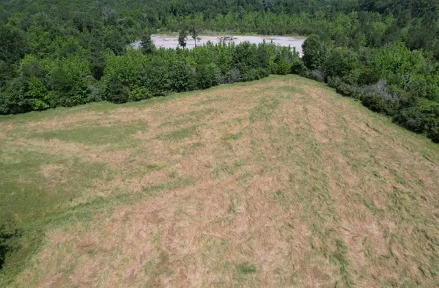 a view of a large yard with lots of green space