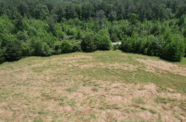 a view of a yard with a trees