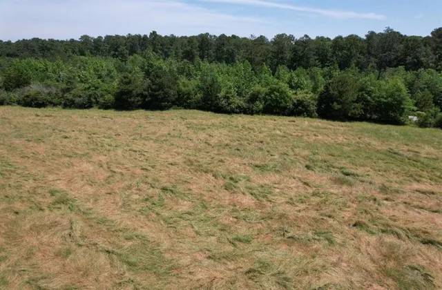 a view of a yard with plants and trees
