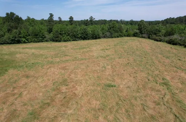 a view of a road with a yard