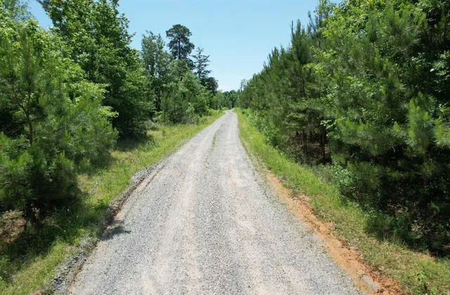 an aerial view of residential house with outdoor space and trees all around