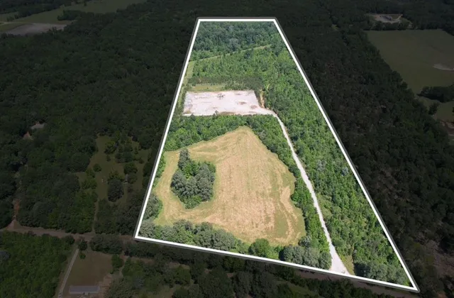 an aerial view of residential houses with outdoor space and trees