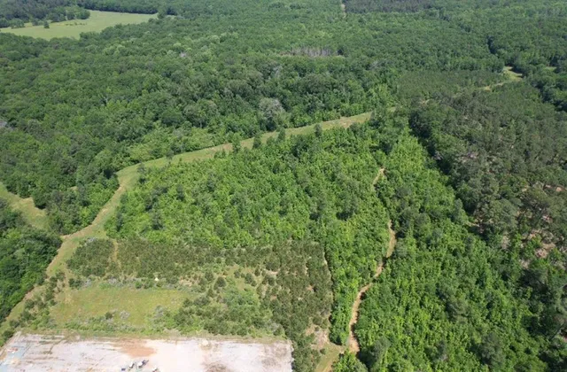 an aerial view of residential house with outdoor space and trees all around
