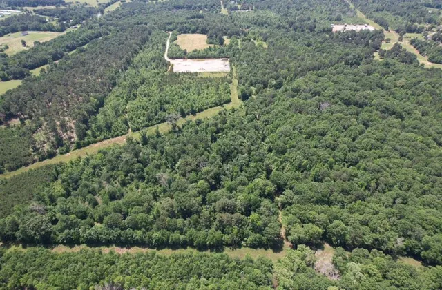 an aerial view of a house with a yard and lake view